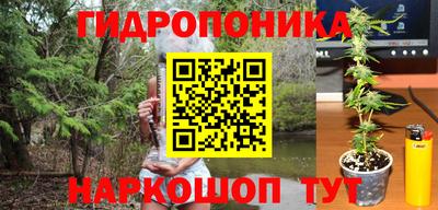 Альфа ПВП Шебекино