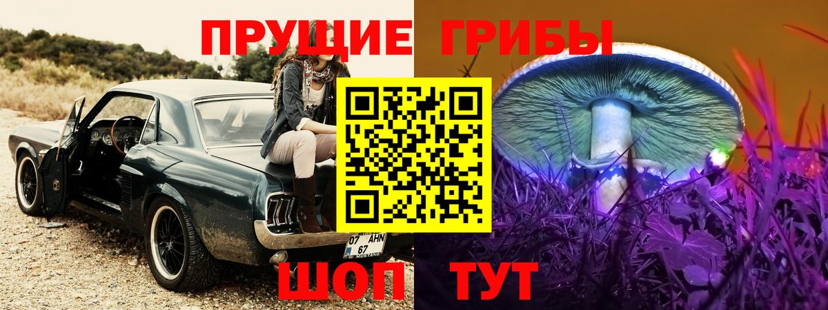 Галлюциногенные грибы мицелий Изобильный