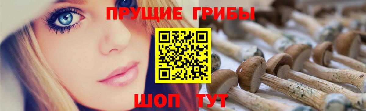 Галлюциногенные грибы MAGIC MUSHROOMS  Псилоцибиновые грибы мицелий  Вход с VPN  Изобильный 
